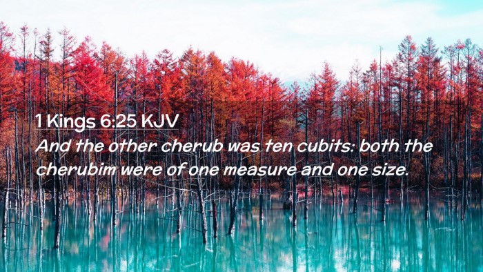 Picture 02 - 1 Kings 6:25 KJV Desktop Wallpaper - And the other cherub was ten cubits: both the - Desktop Bible Verse Wallpaper