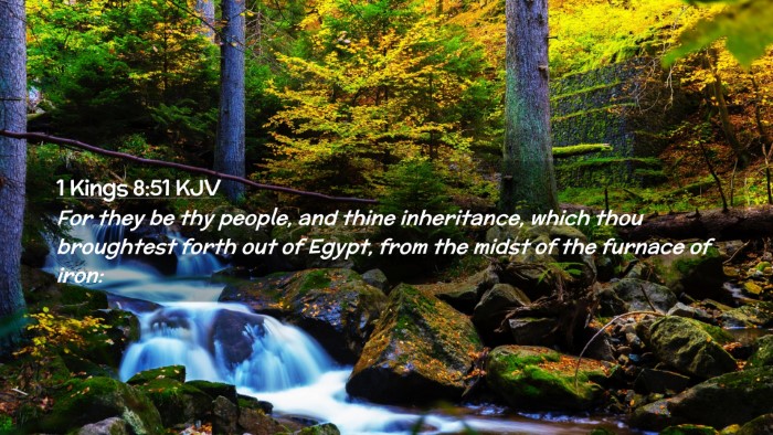 Picture 02 - 1 Kings 8:51 KJV Desktop Wallpaper - For they be thy people, and thine inheritance, - Desktop Bible Verse Wallpaper