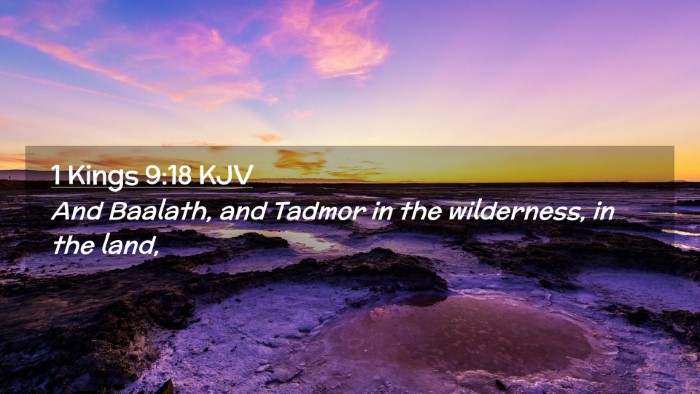 Picture 02 - 1 Kings 9:18 KJV Desktop Wallpaper - And Baalath, and Tadmor in the wilderness, in the - Desktop Bible Verse Wallpaper