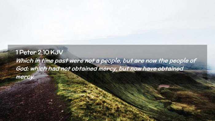 Picture 02 - 1 Peter 2:10 KJV Desktop Wallpaper - Which in time past were not a people, but are now - Desktop Bible Verse Wallpaper