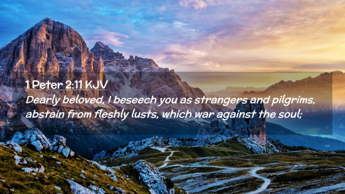 Picture 02 - 1 Peter 2:11 KJV Desktop Wallpaper - Dearly beloved, I beseech you as strangers and - Desktop Bible Verse Wallpaper
