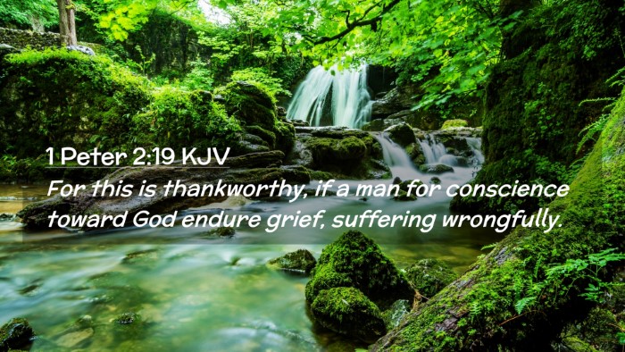 Picture 02 - 1 Peter 2:19 KJV Desktop Wallpaper - For this is thankworthy, if a man for conscience - Desktop Bible Verse Wallpaper