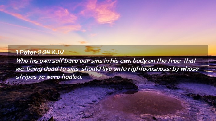 Picture 02 - 1 Peter 2:24 KJV Desktop Wallpaper - Who his own self bare our sins in his own body on - Desktop Bible Verse Wallpaper