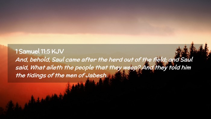 Picture 02 - 1 Samuel 11:5 KJV Desktop Wallpaper - And, behold, Saul came after the herd out of the - Desktop Bible Verse Wallpaper