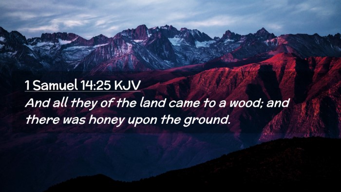 Picture 02 - 1 Samuel 14:25 KJV Desktop Wallpaper - And all they of the land came to a wood; and - Desktop Bible Verse Wallpaper