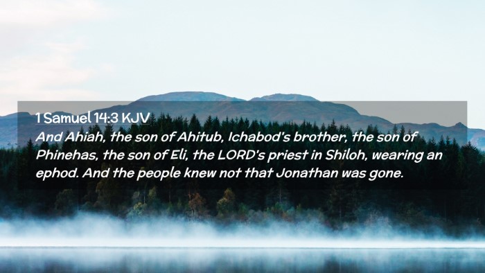 Picture 02 - 1 Samuel 14:3 KJV Desktop Wallpaper - And Ahiah, the son of Ahitub, Ichabod's brother, - Desktop Bible Verse Wallpaper