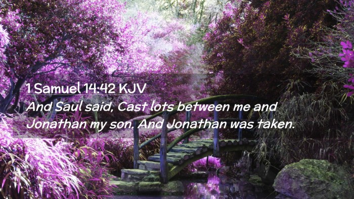 Picture 02 - 1 Samuel 14:42 KJV Desktop Wallpaper - And Saul said, Cast lots between me and Jonathan - Desktop Bible Verse Wallpaper