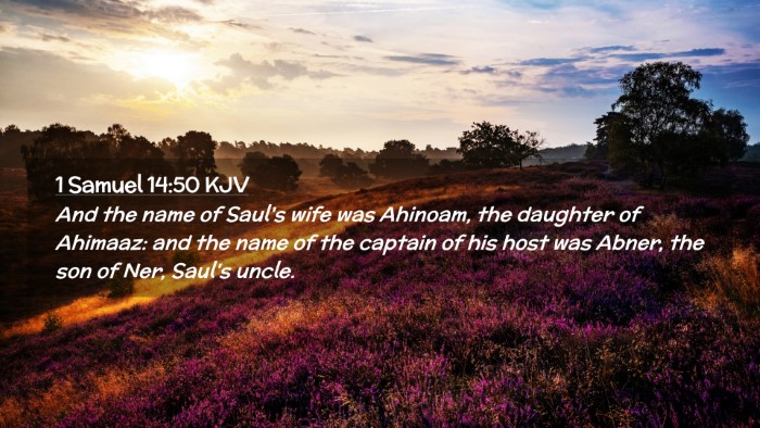 Picture 02 - 1 Samuel 14:50 KJV Desktop Wallpaper - And the name of Saul's wife was Ahinoam, the - Desktop Bible Verse Wallpaper