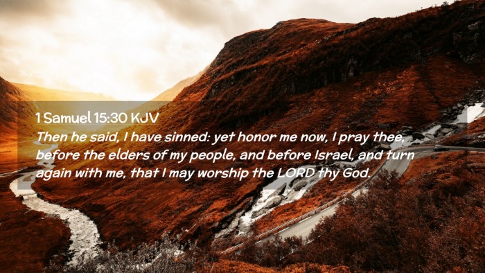 Picture 02 - 1 Samuel 15:30 KJV Desktop Wallpaper - Then he said, I have sinned: yet honor me now, I - Desktop Bible Verse Wallpaper