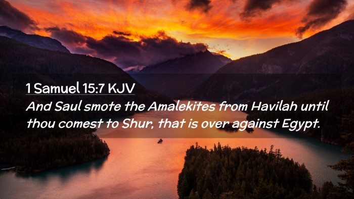 Picture 02 - 1 Samuel 15:7 KJV Desktop Wallpaper - And Saul smote the Amalekites from Havilah until - Desktop Bible Verse Wallpaper