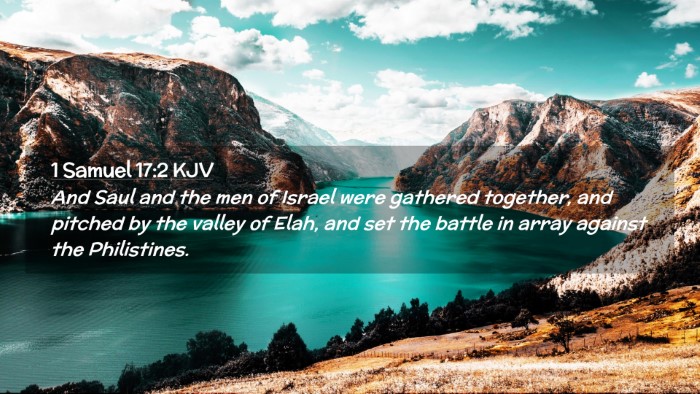 Picture 02 - 1 Samuel 17:2 KJV Desktop Wallpaper - And Saul and the men of Israel were gathered - Desktop Bible Verse Wallpaper