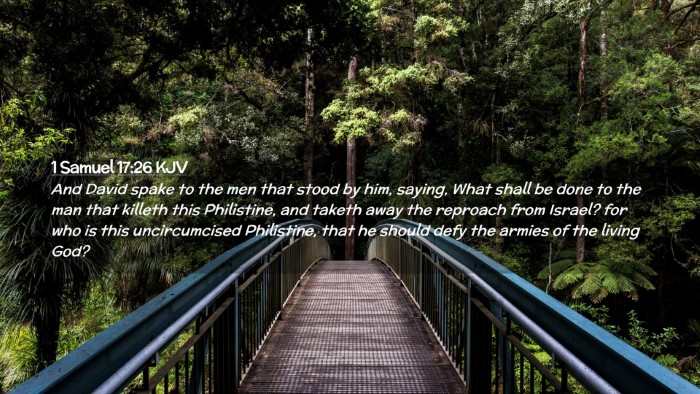 Picture 02 - 1 Samuel 17:26 KJV Desktop Wallpaper - And David spake to the men that stood by him, - Desktop Bible Verse Wallpaper