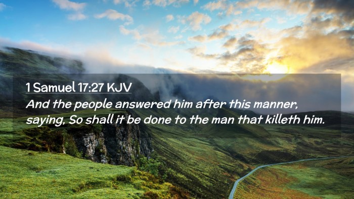 Picture 02 - 1 Samuel 17:27 KJV Desktop Wallpaper - And the people answered him after this manner, - Desktop Bible Verse Wallpaper