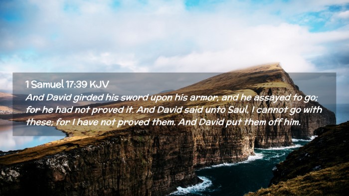 Picture 02 - 1 Samuel 17:39 KJV Desktop Wallpaper - And David girded his sword upon his armor, and he - Desktop Bible Verse Wallpaper