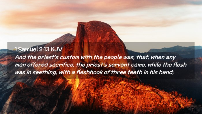 Picture 02 - 1 Samuel 2:13 KJV Desktop Wallpaper - And the priest's custom with the people was, - Desktop Bible Verse Wallpaper