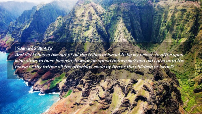 Picture 02 - 1 Samuel 2:28 KJV Desktop Wallpaper - And did I choose him out of all the tribes of - Desktop Bible Verse Wallpaper