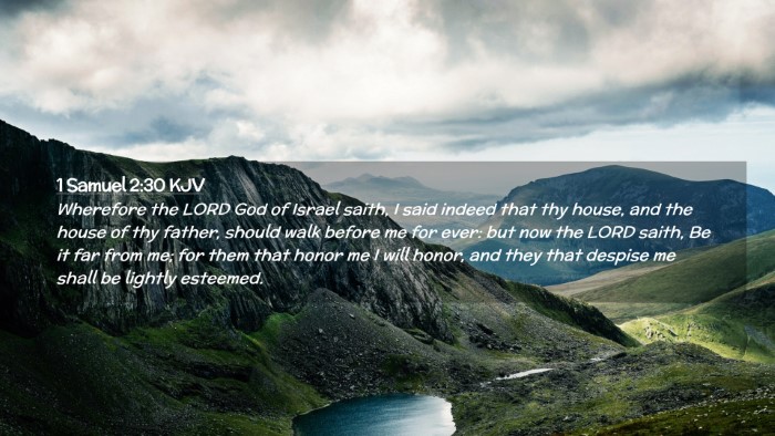 Picture 02 - 1 Samuel 2:30 KJV Desktop Wallpaper - Wherefore the LORD God of Israel saith, I said - Desktop Bible Verse Wallpaper
