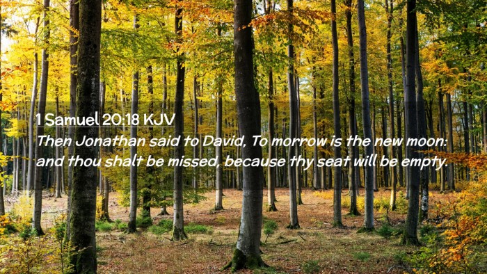 Picture 02 - 1 Samuel 20:18 KJV Desktop Wallpaper - Then Jonathan said to David, To morrow is the new - Desktop Bible Verse Wallpaper
