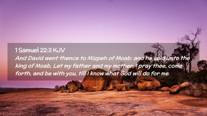 Picture 02 - 1 Samuel 22:3 KJV Desktop Wallpaper - And David went thence to Mizpeh of Moab: and he - Desktop Bible Verse Wallpaper