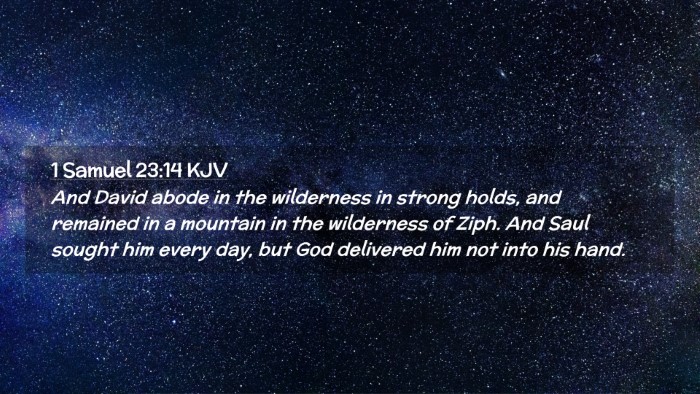Picture 02 - 1 Samuel 23:14 KJV Desktop Wallpaper - And David abode in the wilderness in strong - Desktop Bible Verse Wallpaper