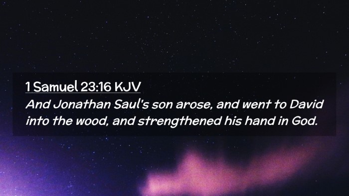 Picture 02 - 1 Samuel 23:16 KJV Desktop Wallpaper - And Jonathan Saul's son arose, and went to David - Desktop Bible Verse Wallpaper