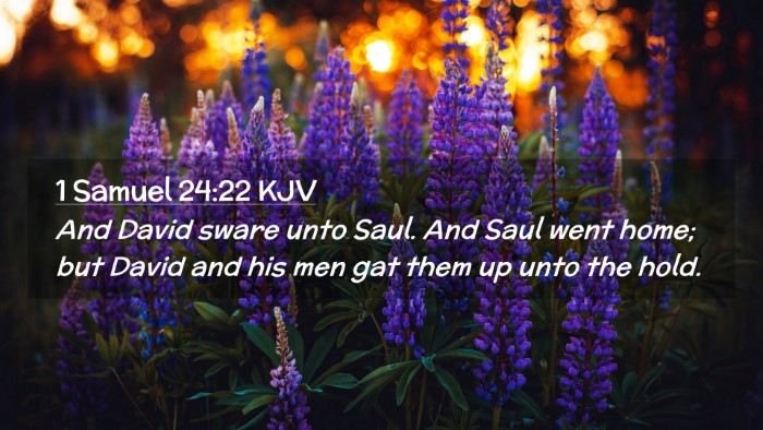 Picture 02 - 1 Samuel 24:22 KJV Desktop Wallpaper - And David sware unto Saul. And Saul went home; - Desktop Bible Verse Wallpaper