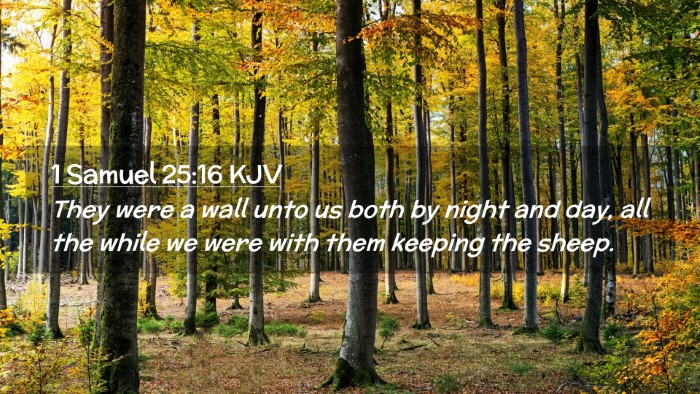 Picture 02 - 1 Samuel 25:16 KJV Desktop Wallpaper - They were a wall unto us both by night and day, - Desktop Bible Verse Wallpaper