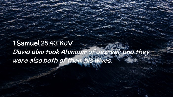 Picture 02 - 1 Samuel 25:43 KJV Desktop Wallpaper - David also took Ahinoam of Jezreel; and they were - Desktop Bible Verse Wallpaper
