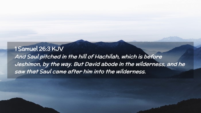 Picture 02 - 1 Samuel 26:3 KJV Desktop Wallpaper - And Saul pitched in the hill of Hachilah, which - Desktop Bible Verse Wallpaper