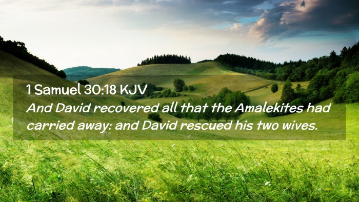 Picture 02 - 1 Samuel 30:18 KJV Desktop Wallpaper - And David recovered all that the Amalekites had - Desktop Bible Verse Wallpaper