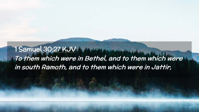 Picture 02 - 1 Samuel 30:27 KJV Desktop Wallpaper - To them which were in Bethel, and to them which - Desktop Bible Verse Wallpaper