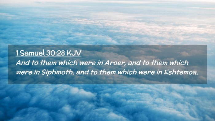 Picture 02 - 1 Samuel 30:28 KJV Desktop Wallpaper - And to them which were in Aroer, and to them - Desktop Bible Verse Wallpaper