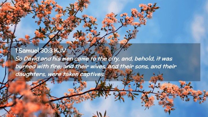 Picture 02 - 1 Samuel 30:3 KJV Desktop Wallpaper - So David and his men came to the city, and, - Desktop Bible Verse Wallpaper