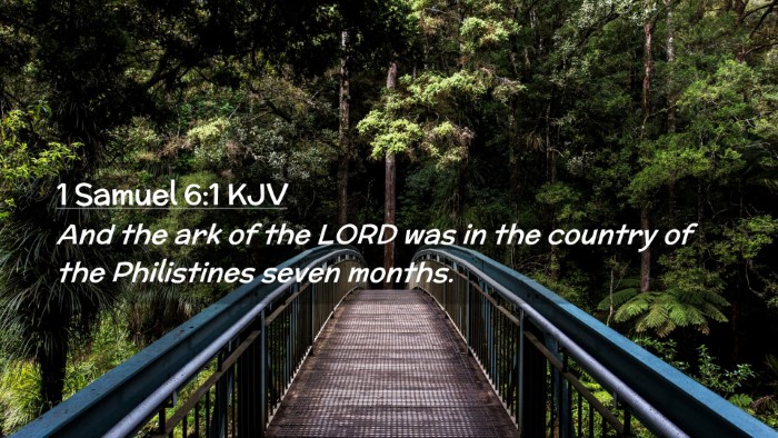 Picture 02 - 1 Samuel 6:1 KJV Desktop Wallpaper - And the ark of the LORD was in the country of the - Desktop Bible Verse Wallpaper