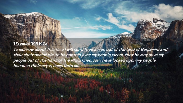 Picture 02 - 1 Samuel 9:16 KJV Desktop Wallpaper - To morrow about this time I will send thee a man - Desktop Bible Verse Wallpaper