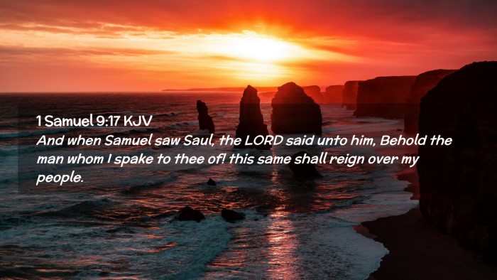 Picture 02 - 1 Samuel 9:17 KJV Desktop Wallpaper - And when Samuel saw Saul, the LORD said unto him, - Desktop Bible Verse Wallpaper