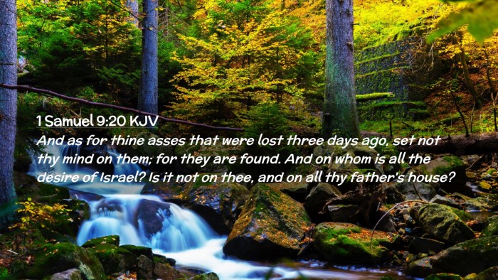 Picture 02 - 1 Samuel 9:20 KJV Desktop Wallpaper - And as for thine asses that were lost three days - Desktop Bible Verse Wallpaper