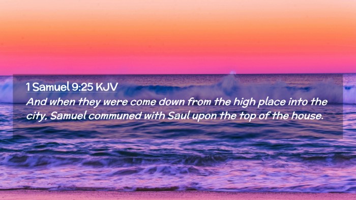Picture 02 - 1 Samuel 9:25 KJV Desktop Wallpaper - And when they were come down from the high place - Desktop Bible Verse Wallpaper