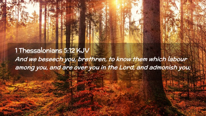 Picture 02 - 1 Thessalonians 5:12 KJV Desktop Wallpaper - And we beseech you, brethren, to know them which - Desktop Bible Verse Wallpaper