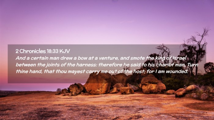 Picture 02 - 2 Chronicles 18:33 KJV Desktop Wallpaper - And a certain man drew a bow at a venture, and - Desktop Bible Verse Wallpaper