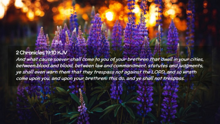 Picture 02 - 2 Chronicles 19:10 KJV Desktop Wallpaper - And what cause soever shall come to you of your - Desktop Bible Verse Wallpaper