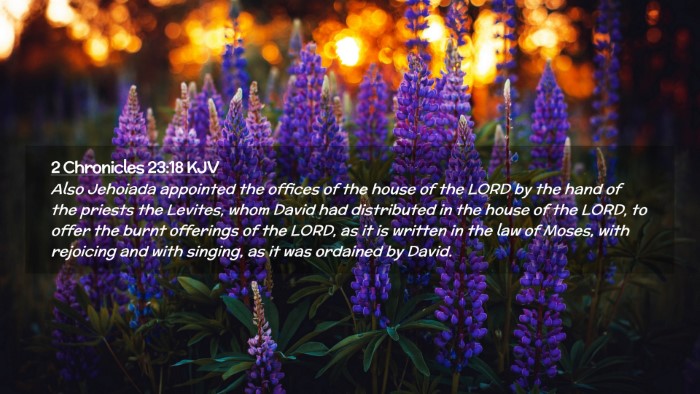 Picture 02 - 2 Chronicles 23:18 KJV Desktop Wallpaper - Also Jehoiada appointed the offices of the house - Desktop Bible Verse Wallpaper