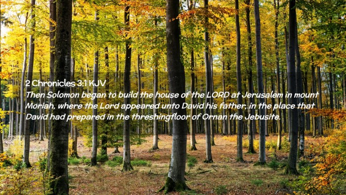 Picture 02 - 2 Chronicles 3:1 KJV Desktop Wallpaper - Then Solomon began to build the house of the LORD - Desktop Bible Verse Wallpaper