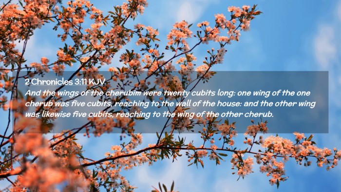 Picture 02 - 2 Chronicles 3:11 KJV Desktop Wallpaper - And the wings of the cherubim were twenty cubits - Desktop Bible Verse Wallpaper