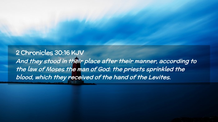 Picture 02 - 2 Chronicles 30:16 KJV Desktop Wallpaper - And they stood in their place after their manner, - Desktop Bible Verse Wallpaper