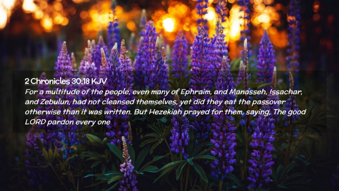 Picture 02 - 2 Chronicles 30:18 KJV Desktop Wallpaper - For a multitude of the people, even many of - Desktop Bible Verse Wallpaper