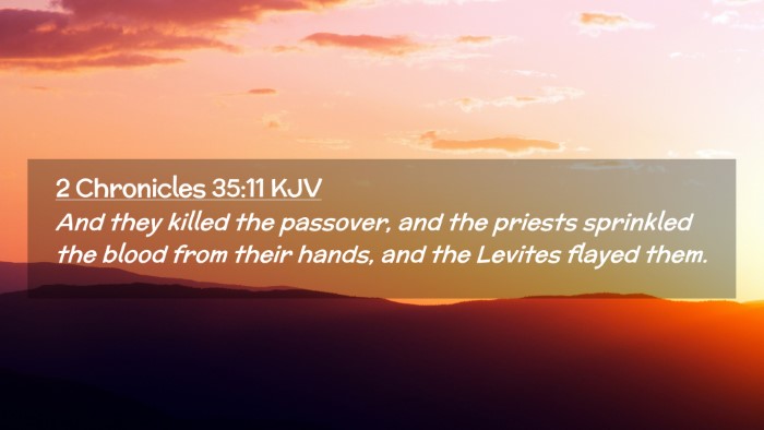 Picture 02 - 2 Chronicles 35:11 KJV Desktop Wallpaper - And they killed the passover, and the priests - Desktop Bible Verse Wallpaper