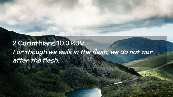 Picture 02 - 2 Corinthians 10:3 KJV Desktop Wallpaper - For though we walk in the flesh, we do not war - Desktop Bible Verse Wallpaper
