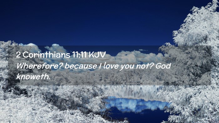 Picture 02 - 2 Corinthians 11:11 KJV Desktop Wallpaper - Wherefore? because I love you not? God - Desktop Bible Verse Wallpaper