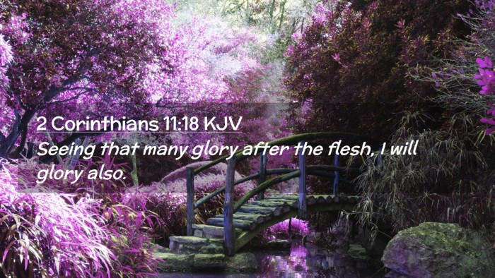 Picture 02 - 2 Corinthians 11:18 KJV Desktop Wallpaper - Seeing that many glory after the flesh, I will - Desktop Bible Verse Wallpaper